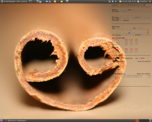 Ubuntu 10.10 Bildschirmfoto